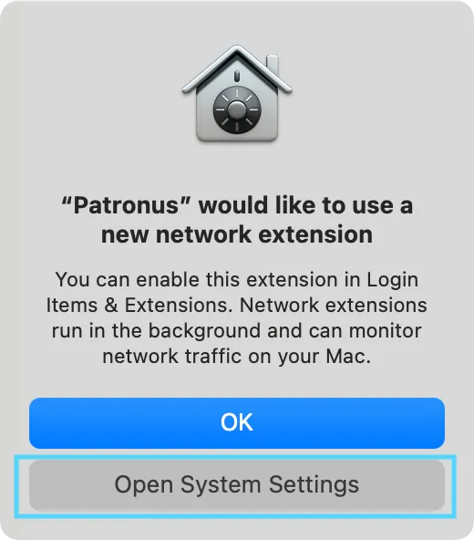 Open System Settings and find Patronus under Network Filters